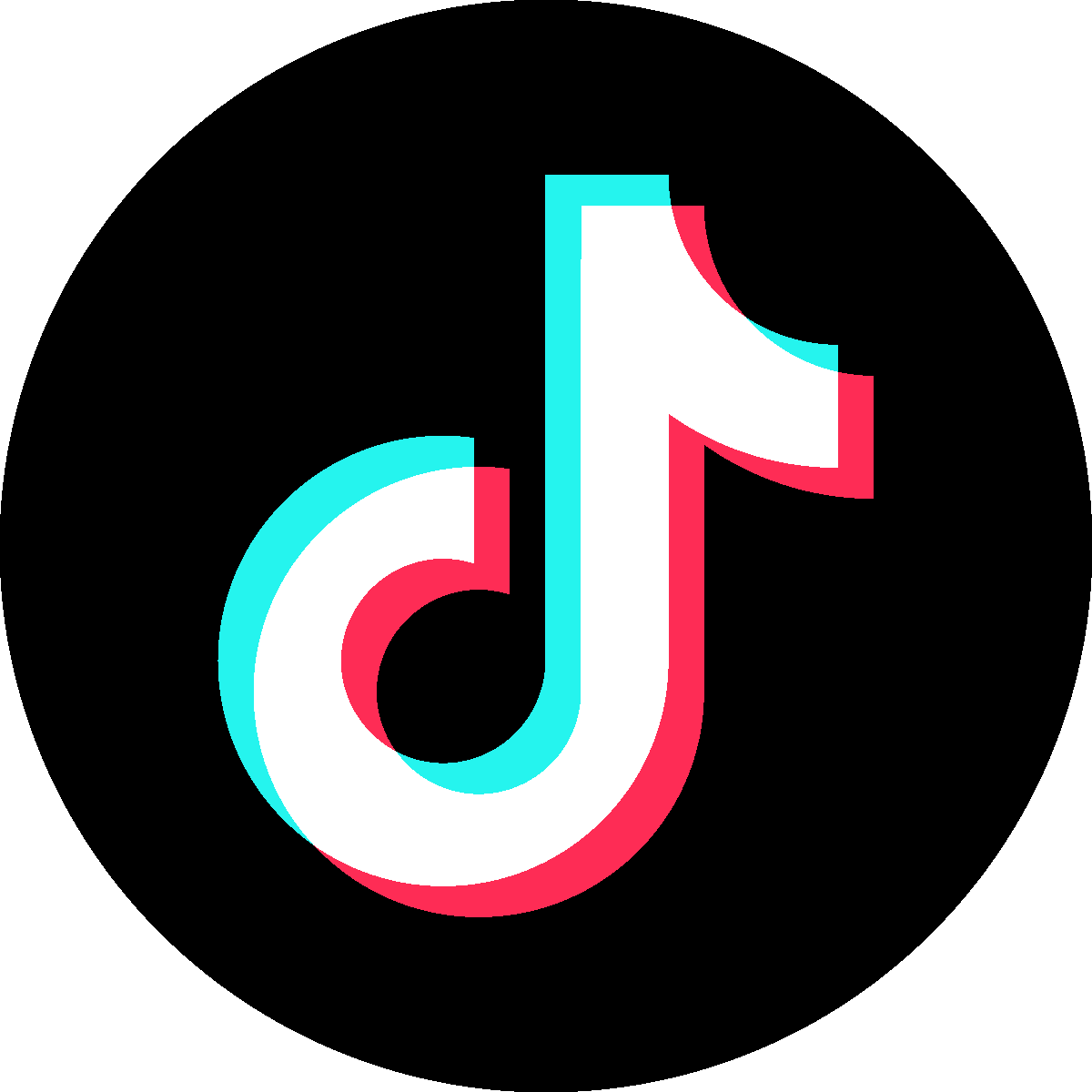 Perot Museum of Nature and Science TikTok page.